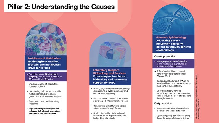 Pillar 2: Understanding the Causes
