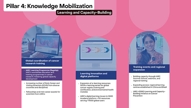 Pillar 4: Knowledge Mobilization: Learning and Capacity-Building